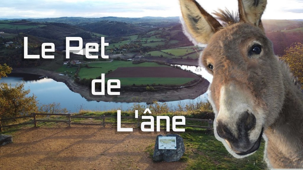 le pet de l'ane