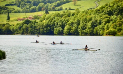 aviron sur la loire natura 2000