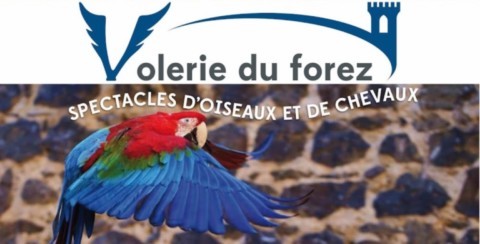 volerie du forez